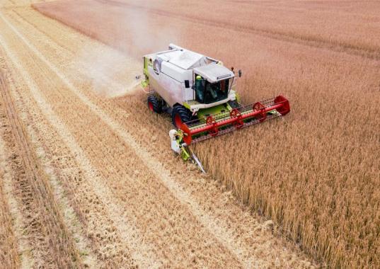 Témoignage de Malteurop : modernisation de la maintenance industrielle 