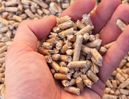 Valorisation du bois local : Installation d'une ligne de production de pellets dans un lycée de Mayenne