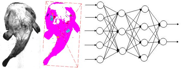 Tri par intelligence artificielle