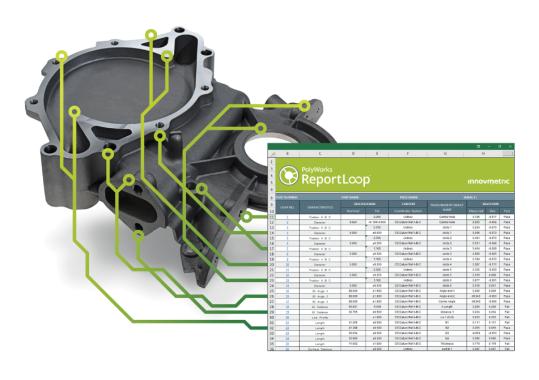 PolyWorks|ReportLoop