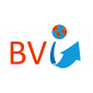 BV INTERNATIONAL