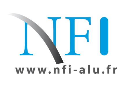 NON FERREUX POUR L'INDUSTRIE - NFI